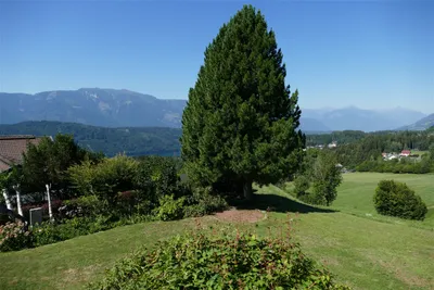 8-Zimmer-Haus kaufen in Spittal an der Drau – 180 m², € 720.000 – Bild 21 von 32