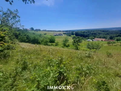 Grundstück kaufen in Jennersdorf – 11 100 m², € 85.000 – Bild 4 von 17