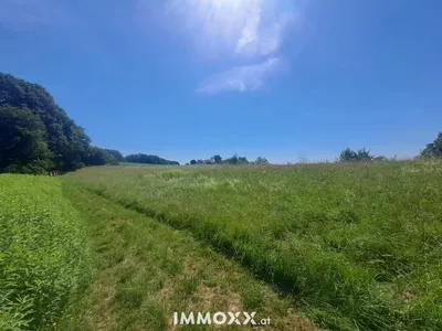 Grundstück kaufen in Jennersdorf – 11 100 m², € 85.000 – Bild 5 von 17