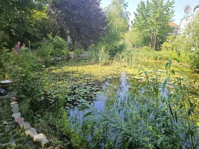 7-Zimmer-Immobilie kaufen in Baden – 500 m², € 1.000.000 – Bild 3 von 10