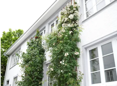 Wohnung mieten in Linz – 63 m², € 1.247 – Bild 2 von 12