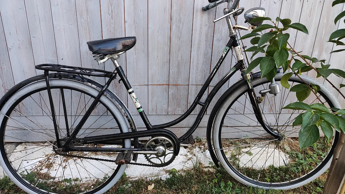 provelo e bike klapprad E-Bike MYVELO Palma E-Fatbike im Shop kaufen — Sports & loisirs Model:Denna H30 (20 mph) Citybikes Vienna: Die App
