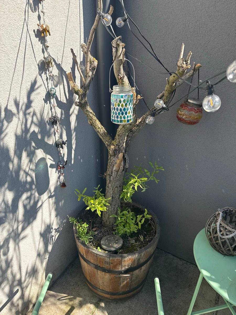 bonsai gießkanne metall Metallgießkanne, 4,5 l, mitternachtsblau – UV-beständig