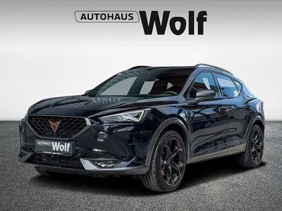 Cupra Formentor TRIBE VZ 2.0 TSI DSG 4Drive