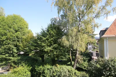 1-Zimmer-Wohnung mieten in Salzburg Stadt – 30 m², € 780 – Bild 6 von 9