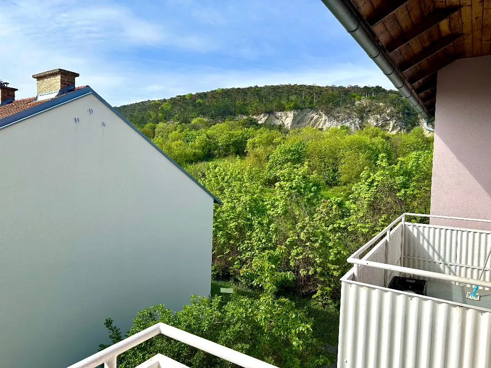 Singlewohnung umgeben von Natur und Blick über Mödling!, Mödling