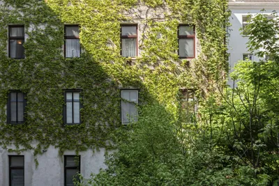 3-Zimmer-Wohnung kaufen in Wien – 65,78 m², € 328.000 – Bild 12 von 19