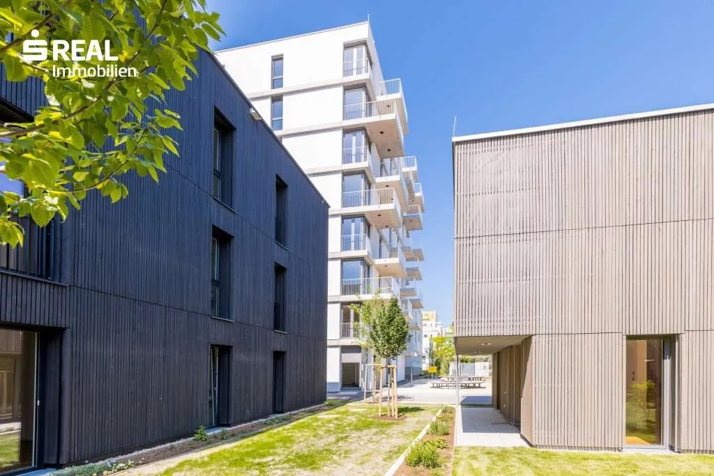 Neue Ordination/Büro im Edelrohbau - ca. 124 m² Nutzfläche im Wildgarten - Provisionsfrei für Käufer:innen - Ansicht 3