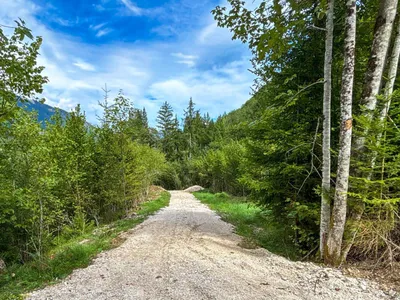 6-Zimmer-Immobilie kaufen in Kirchdorf an der Krems – 128,57 m², € 659.000 – Bild 12 von 18