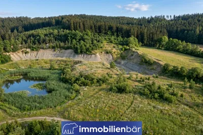 Immobilie kaufen in Ried im Innkreis – 30 000 m², € 260.000 – Bild 3 von 4
