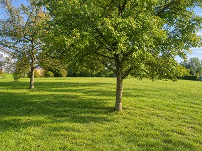 Grundstück kaufen in Salzburg-Umgebung – 1 342 m² – Bild 3 von 4