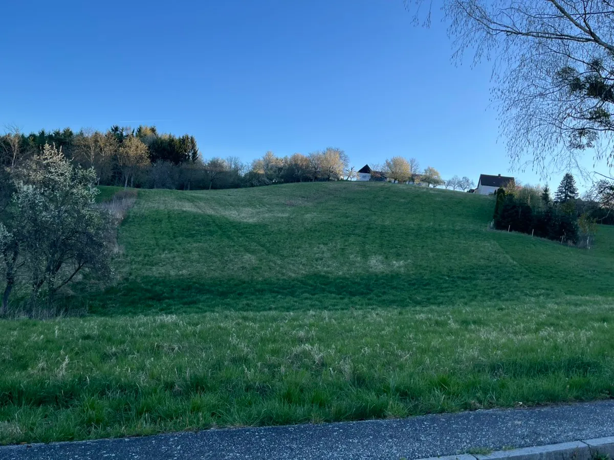 Baugrund und Wiese Gemeinde Oberdorf Burgenland (ca. 7 Km nach Oberwart) 6.914 m² Bauland 1.772,6 m² + Wiese 5.141,4 m² - Ansicht 2