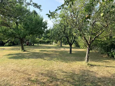 Wohnung kaufen in Tulln – 35 m², € 350.000 – Bild 6 von 8