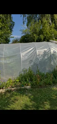 2-Zimmer-Wohnung kaufen in Korneuburg – 38 m², € 70.000 – Bild 10 von 13