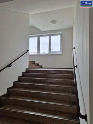 Immobilie mieten in Sankt Pölten Land – 13 395 m² – Bild 10 von 10
