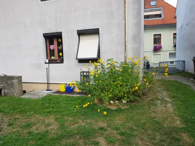 3-Zimmer-Wohnung mieten in Murtal – 60 m², € 502 – Bild 5 von 34