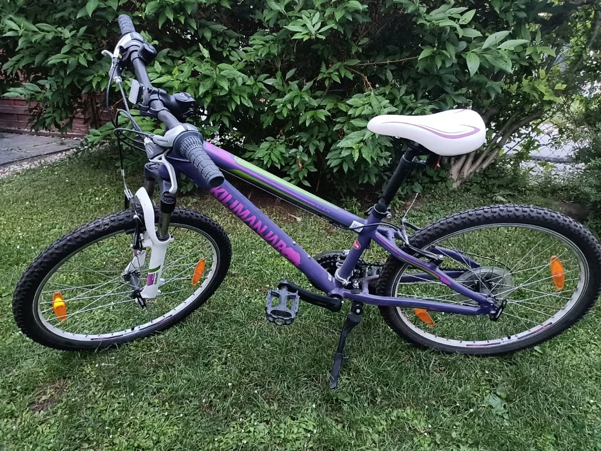 fahrradanhänger behindertengerecht PRUJOY für Erwachsene, Rollstuhl, Fahrrad, Aluminiumlegierung, hinterer Anhänger, Stoßdämpfung, komfortabler Traktor, multifunktionaler Wagen (Blue) Haustier Make A Selection:700x45c - 60tpi Fold kindergarten abschied geschenkidee Kona 2011 Cinder Cone