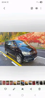 VW T6