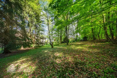 Grundstück kaufen in Mödling – 2 724 m², € 1.150.000 – Bild 16 von 22