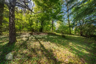 Grundstück kaufen in Mödling – 2 724 m², € 1.150.000 – Bild 18 von 22