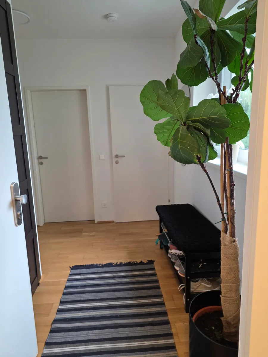Wohnung – Feldkirchen bei Mattighofen - Ansicht 3