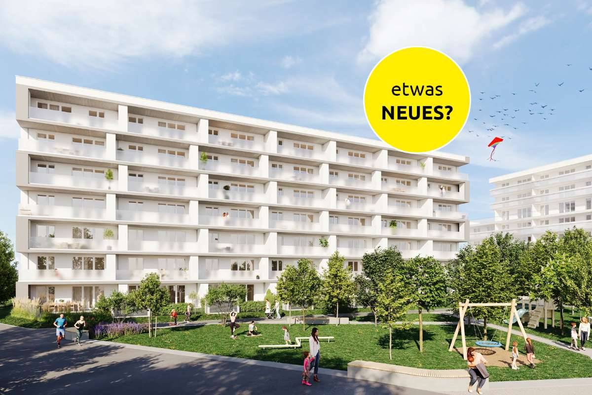 WEINZIERL XIII B - GEFÖRDERT | Hier liegen Sie richtig - Ansicht 3