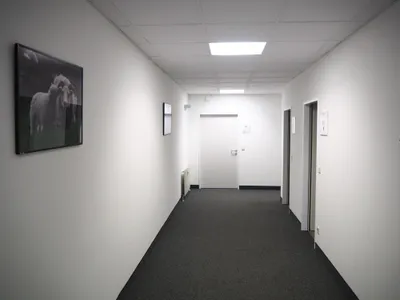 Gewerbeimmobilie mieten in Wien – 300 m² – Bild 3 von 9