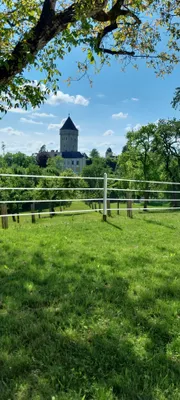 2-Zimmer-Wohnung mieten in Rohrbach – 50 m², € 490 – Bild 1 von 9