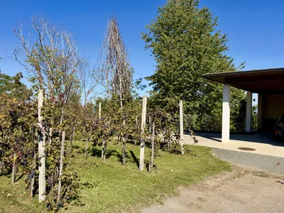 Haus kaufen in Leibnitz – 195,61 m², € 1.180.000 – Bild 59 von 75