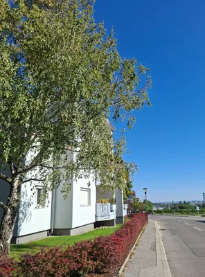 2-Zimmer-Wohnung mieten in Mödling – 74 m², € 980 – Bild 2 von 12