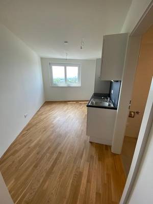 Ab 1.8. - Smarte Einzimmer-Singlewohnung inkl. Küchenzeile am Genochplatz – Bild 2