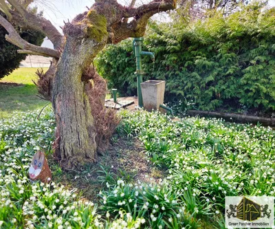 5-Zimmer-Haus kaufen in Weiz – 134 m², € 355.000 – Bild 18 von 26