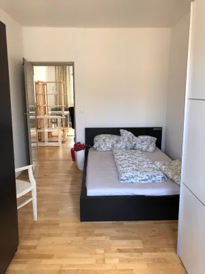 Helle zentrale sonnige Wohnung – Bild 3