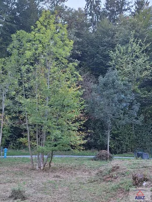 Grundstück kaufen in Graz-Umgebung – 785 m² – Bild 5 von 5