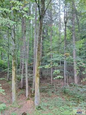 Grundstück kaufen in Graz-Umgebung – 785 m² – Bild 4 von 5