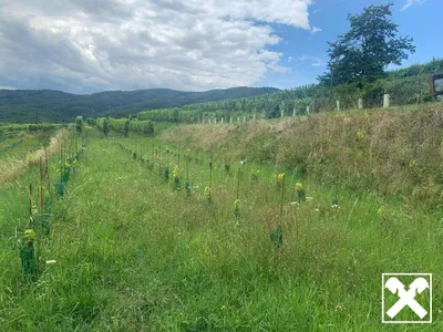 Grundstück kaufen in Krems Land – 654 m², € 42.510 – Bild 6 von 8