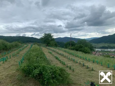 Grundstück kaufen in Krems Land – 654 m², € 42.510 – Bild 3 von 8