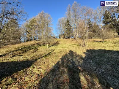 Grundstück kaufen in Graz-Umgebung – 2 949 m², € 235.000 – Bild 4 von 32