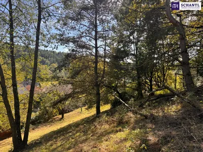 Grundstück kaufen in Graz-Umgebung – 2 949 m², € 235.000 – Bild 18 von 32