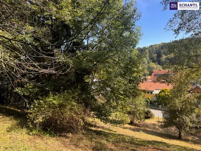 Grundstück kaufen in Graz-Umgebung – 2 949 m², € 235.000 – Bild 13 von 32