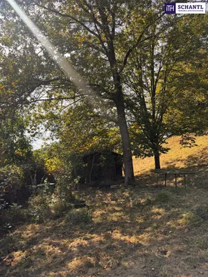 Grundstück kaufen in Graz-Umgebung – 2 949 m², € 235.000 – Bild 19 von 32