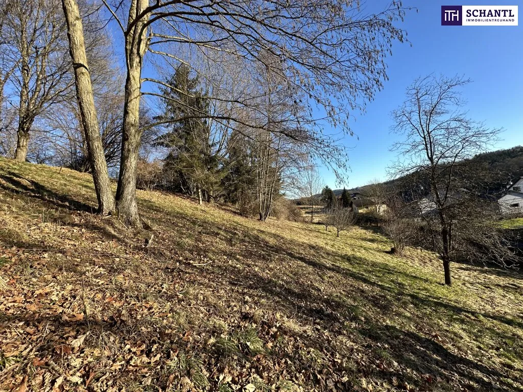 Sensationell! Jetzt in ein bewilligtes Wohnbauprojekt mit Zukunft investieren! Attraktives Baugrundstück mit genehmigtem Projekt für zwei moderne Doppelhäuser! - Ansicht 3