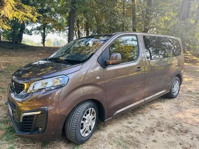 Peugeot Traveller