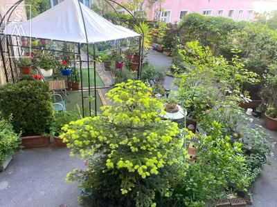 1-Zimmer-Wohnung kaufen in Wien – 47,72 m², € 120.000 – Bild 9 von 10