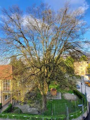 4-Zimmer-Wohnung mieten in Salzburg Stadt – 120 m², € 1.897 – Bild 12 von 17