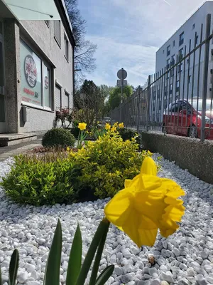 4-Zimmer-Wohnung mieten in Salzburg Stadt – 120 m², € 1.897 – Bild 6 von 17