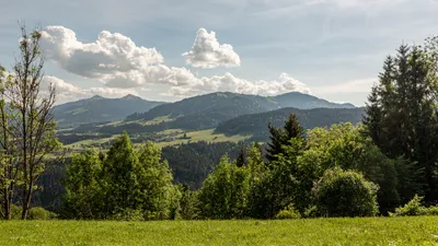 14-Zimmer-Immobilie kaufen in Kitzbühel – 1 580 m², € 1.450.000 – Bild 4 von 18