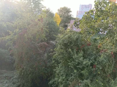 2-Zimmer-Immobilie mieten in Wien – 47 m², € 600 – Bild 11 von 14