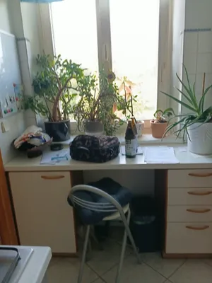 2-Zimmer-Immobilie mieten in Wien – 47 m², € 600 – Bild 7 von 14