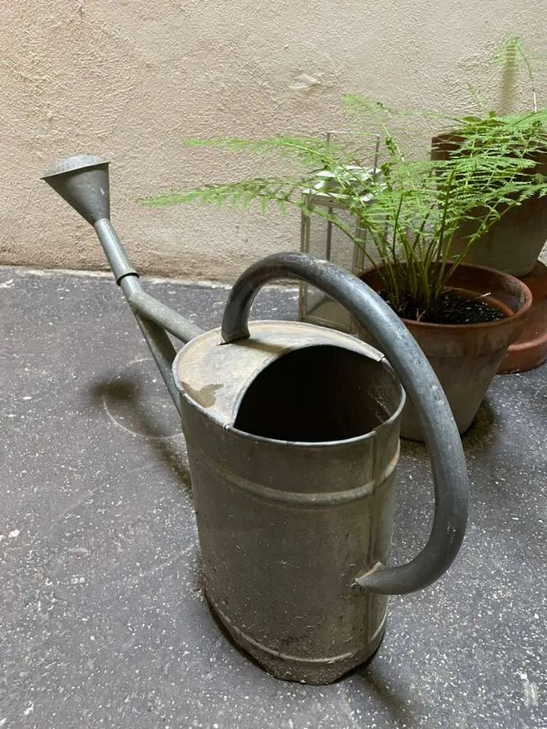 Zink-Blech-Gießkanne (Rarität), € 39,- (1060 Wien)